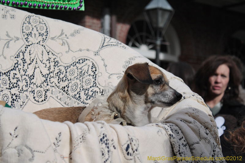 Mystic-Krewe-of-Barkus-2012-0182