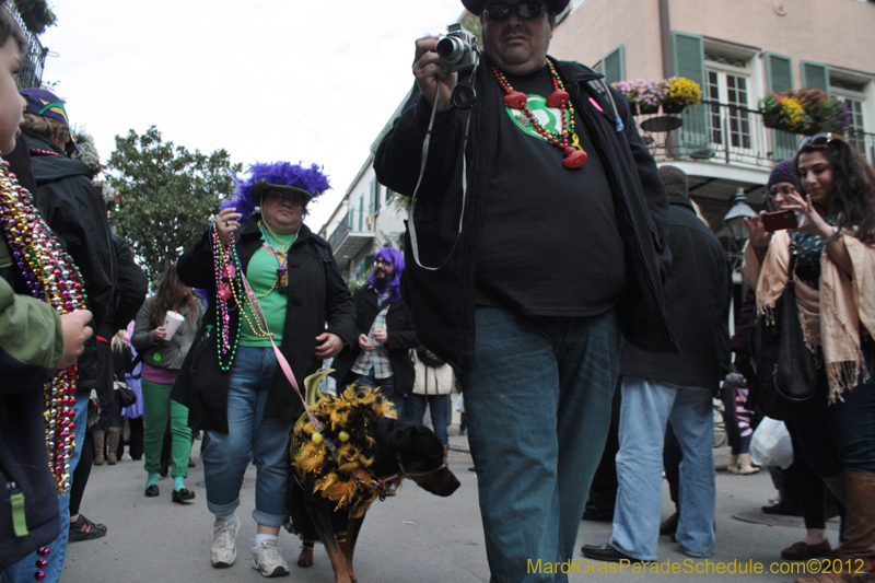 Mystic-Krewe-of-Barkus-2012-0369