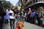 Mystic-Krewe-of-Barkus-2012-0038