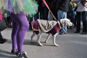 Mystic-Krewe-of-Barkus-2012-0045