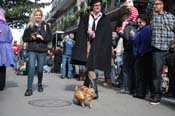 Mystic-Krewe-of-Barkus-2012-0046
