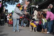 Mystic-Krewe-of-Barkus-2012-0051