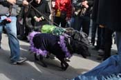 Mystic-Krewe-of-Barkus-2012-0054