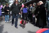 Mystic-Krewe-of-Barkus-2012-0056