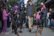 Mystic-Krewe-of-Barkus-2012-0060