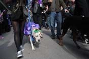 Mystic-Krewe-of-Barkus-2012-0061