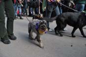 Mystic-Krewe-of-Barkus-2012-0073