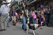 Mystic-Krewe-of-Barkus-2012-0075