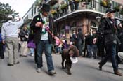 Mystic-Krewe-of-Barkus-2012-0078