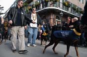 Mystic-Krewe-of-Barkus-2012-0079