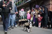 Mystic-Krewe-of-Barkus-2012-0080