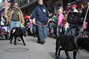 Mystic-Krewe-of-Barkus-2012-0083