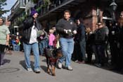 Mystic-Krewe-of-Barkus-2012-0084