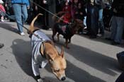 Mystic-Krewe-of-Barkus-2012-0087