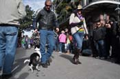 Mystic-Krewe-of-Barkus-2012-0088