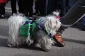 Mystic-Krewe-of-Barkus-2012-0093