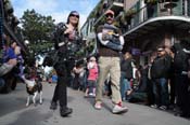 Mystic-Krewe-of-Barkus-2012-0094
