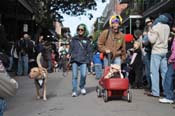 Mystic-Krewe-of-Barkus-2012-0096
