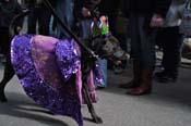 Mystic-Krewe-of-Barkus-2012-0098
