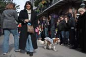 Mystic-Krewe-of-Barkus-2012-0099