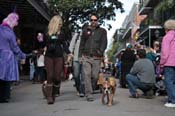 Mystic-Krewe-of-Barkus-2012-0100