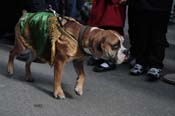 Mystic-Krewe-of-Barkus-2012-0101