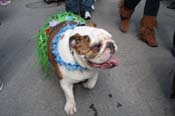 Mystic-Krewe-of-Barkus-2012-0112