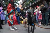 Mystic-Krewe-of-Barkus-2012-0115