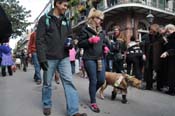 Mystic-Krewe-of-Barkus-2012-0119