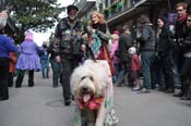 Mystic-Krewe-of-Barkus-2012-0123