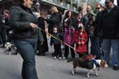 Mystic-Krewe-of-Barkus-2012-0124