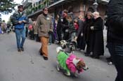 Mystic-Krewe-of-Barkus-2012-0125