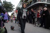 Mystic-Krewe-of-Barkus-2012-0131