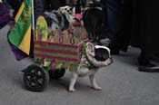 Mystic-Krewe-of-Barkus-2012-0138