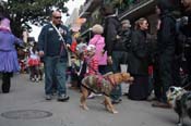 Mystic-Krewe-of-Barkus-2012-0140