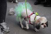 Mystic-Krewe-of-Barkus-2012-0142