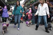 Mystic-Krewe-of-Barkus-2012-0145