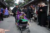 Mystic-Krewe-of-Barkus-2012-0147
