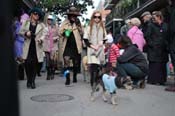 Mystic-Krewe-of-Barkus-2012-0148