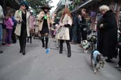 Mystic-Krewe-of-Barkus-2012-0149