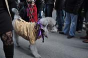 Mystic-Krewe-of-Barkus-2012-0150