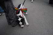 Mystic-Krewe-of-Barkus-2012-0154