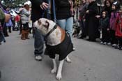 Mystic-Krewe-of-Barkus-2012-0158