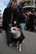 Mystic-Krewe-of-Barkus-2012-0159