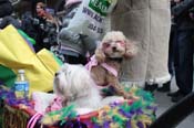 Mystic-Krewe-of-Barkus-2012-0161
