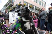 Mystic-Krewe-of-Barkus-2012-0171