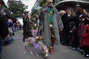 Mystic-Krewe-of-Barkus-2012-0187