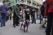 Mystic-Krewe-of-Barkus-2012-0410