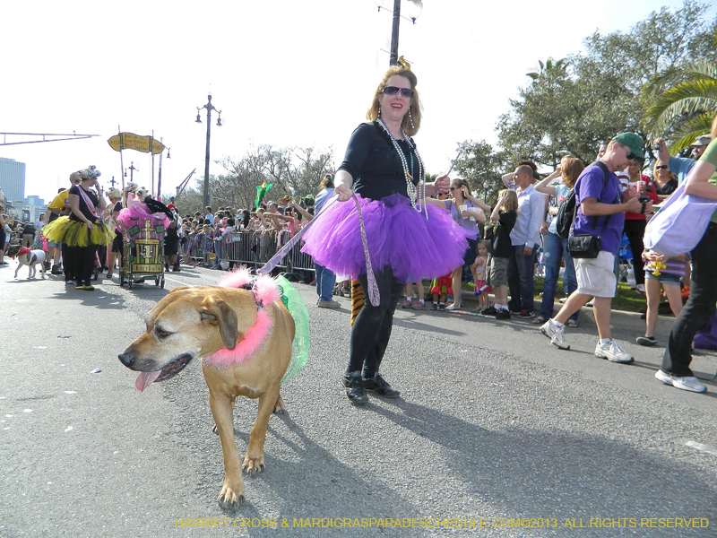 Mystic-Krewe-of-Barkus-HC-2013-1037