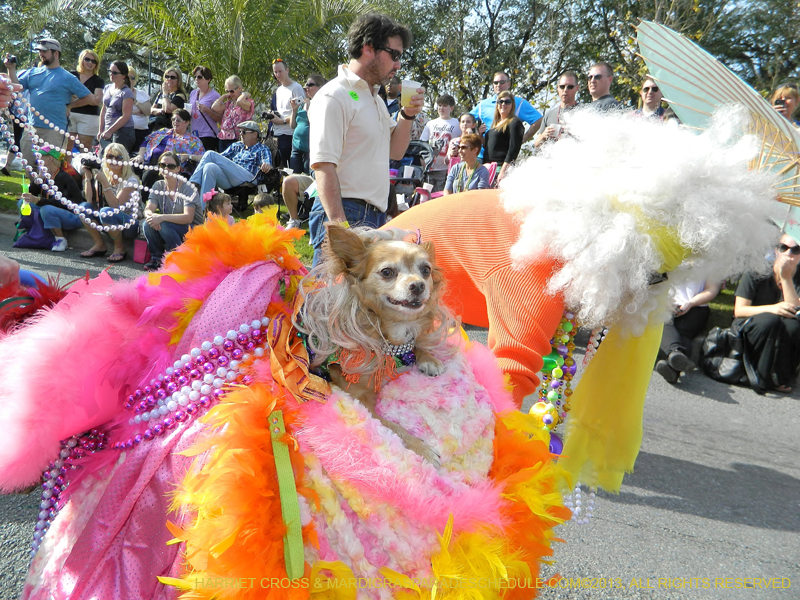 Mystic-Krewe-of-Barkus-HC-2013-1041